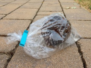 Noce di cocco nel sacchetto