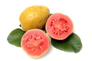 Fresh Guava fruit